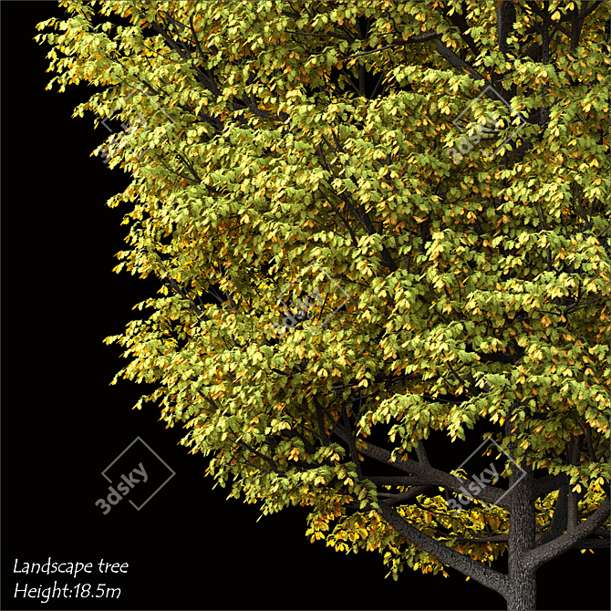 2014 Land scape tree - 18.5m Tall, High-Quality 3D Model 3D model image 2