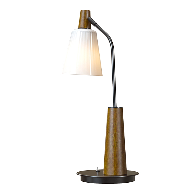 Stylish Shinola Book Desk Lamp 3D model image 3
