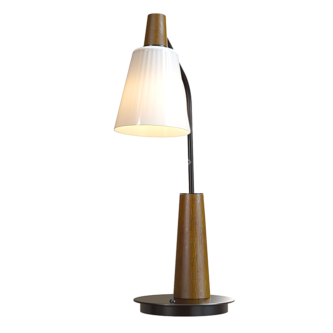Stylish Shinola Book Desk Lamp 3D model image 4