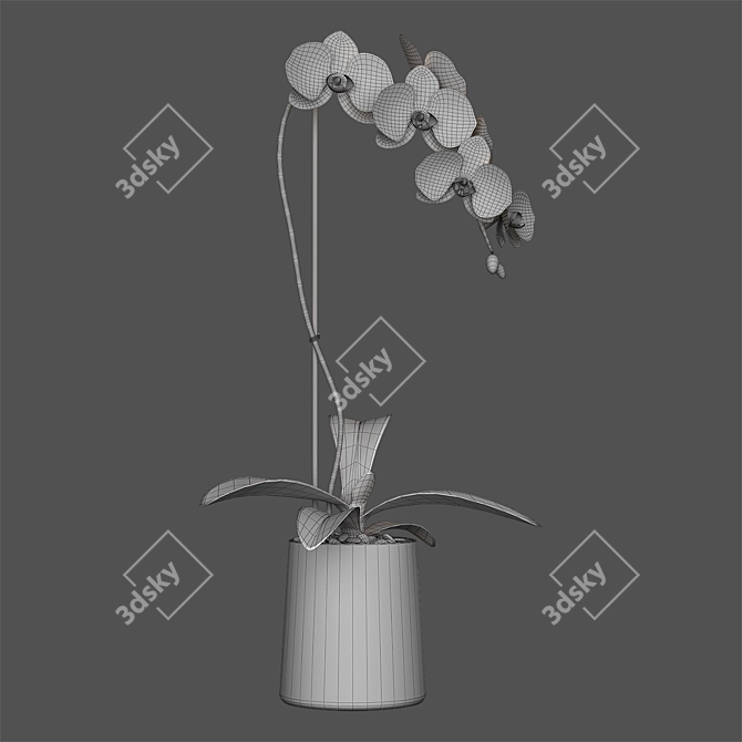 Elegant White Orchid: Pot of Delicate Beauty 3D model image 5