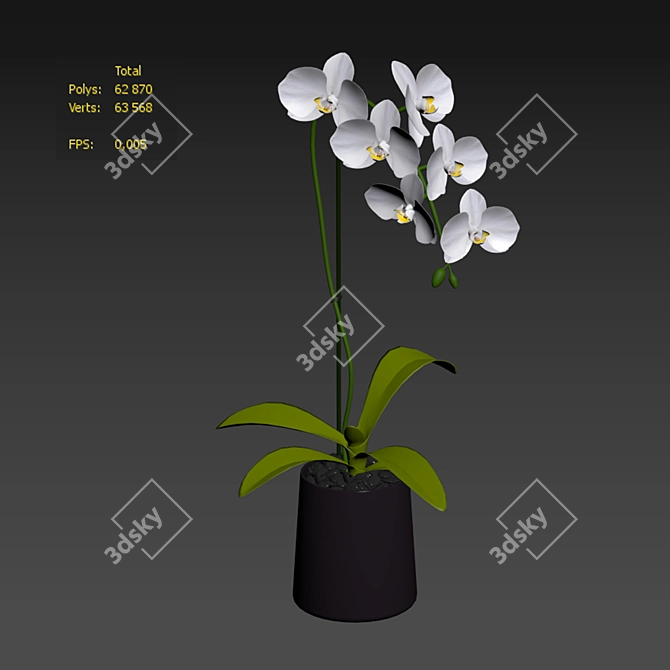 Elegant White Orchid: Pot of Delicate Beauty 3D model image 6