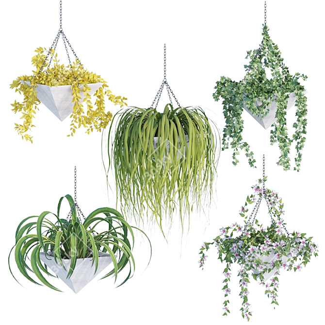 Hanging Plant Collection - Vol. 46 3D model image 1