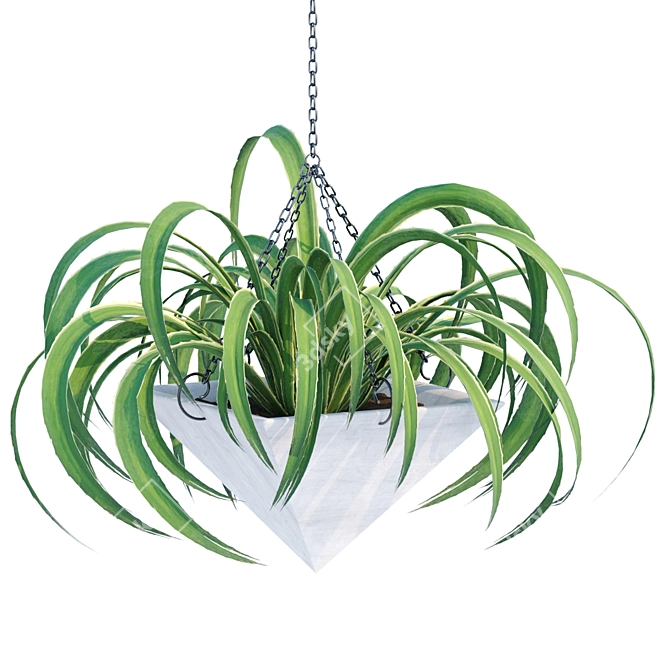 Hanging Plant Collection - Vol. 46 3D model image 3