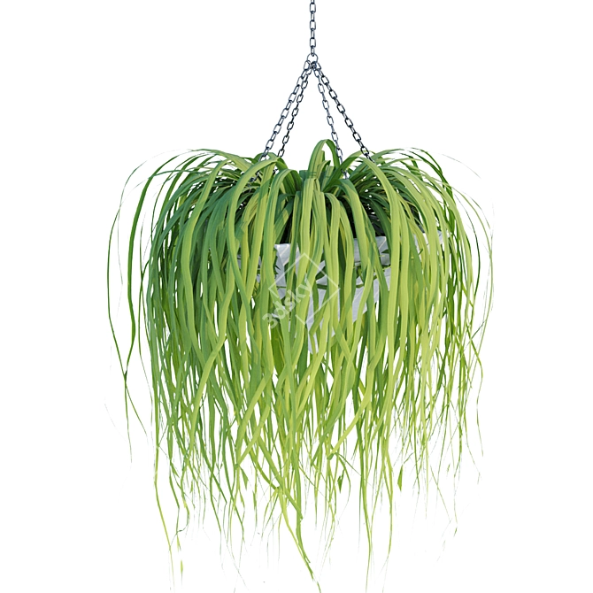 Hanging Plant Collection - Vol. 46 3D model image 6