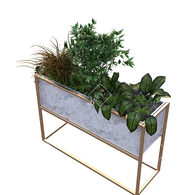 Exclusive Plant Box Set 171 3D model image 6