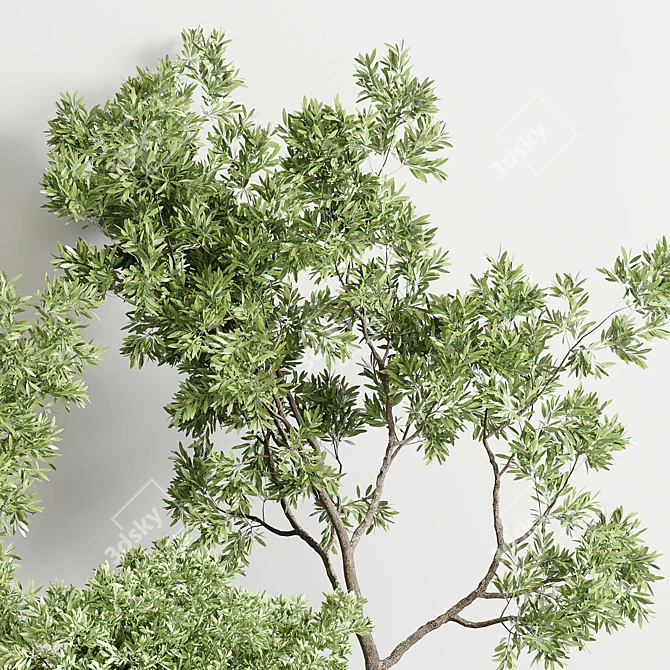 Concrete Wood Plant Collection: Vase & Tree 3D model image 5