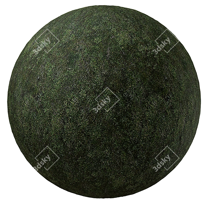 Seamless 4K Moss Texture 3D model image 1