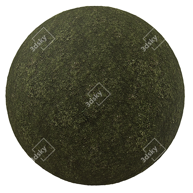 Seamless 4K Moss Texture 3D model image 1