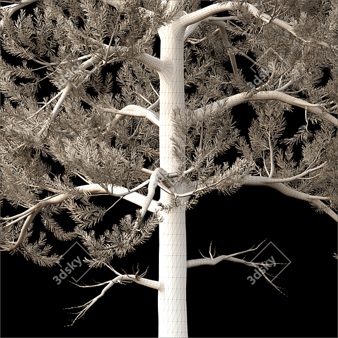  Majestic 2014 Landscape Tree 3D model image 4