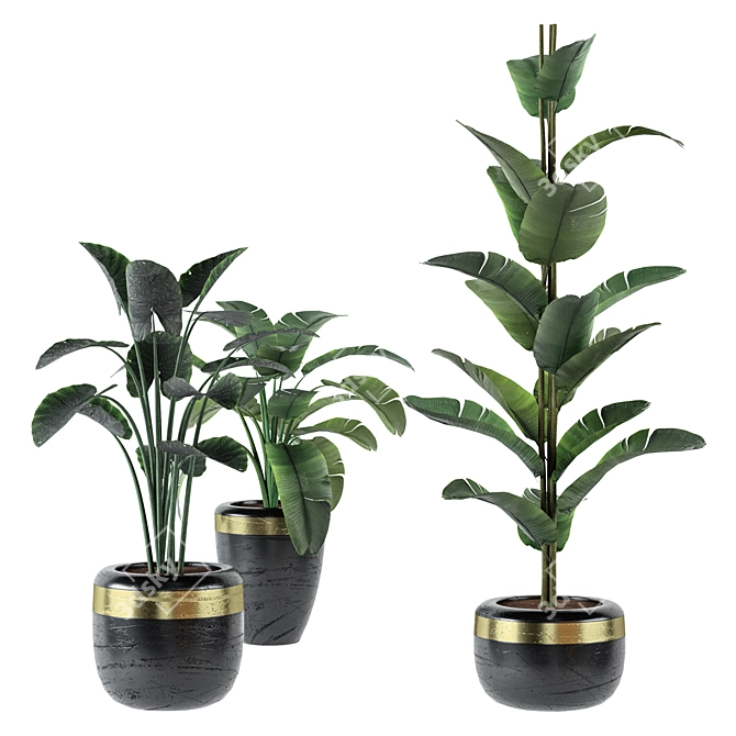 Trendy Black Pot Indoor Plants 3D model image 1