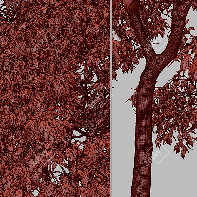 Fragrant Magnolia Champaca Trees 3D model image 7