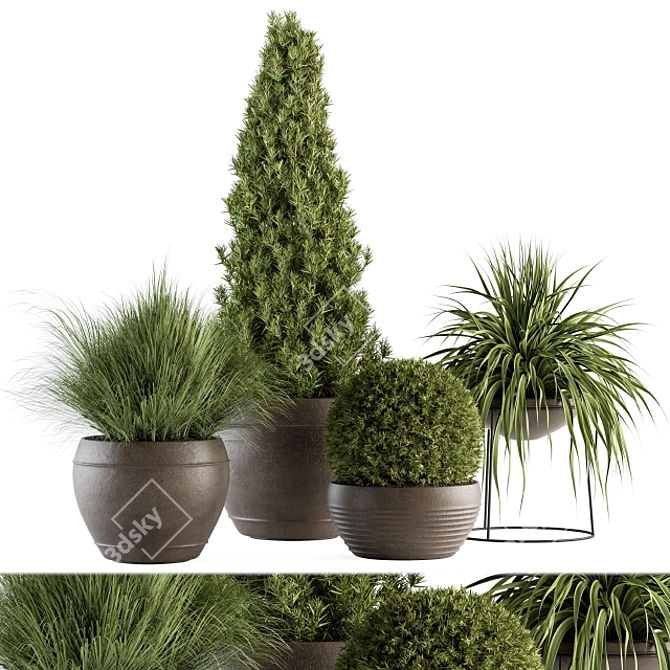 Outdoor Greenery Ensemble: 312 - Plant & Tree Set 3D model image 1