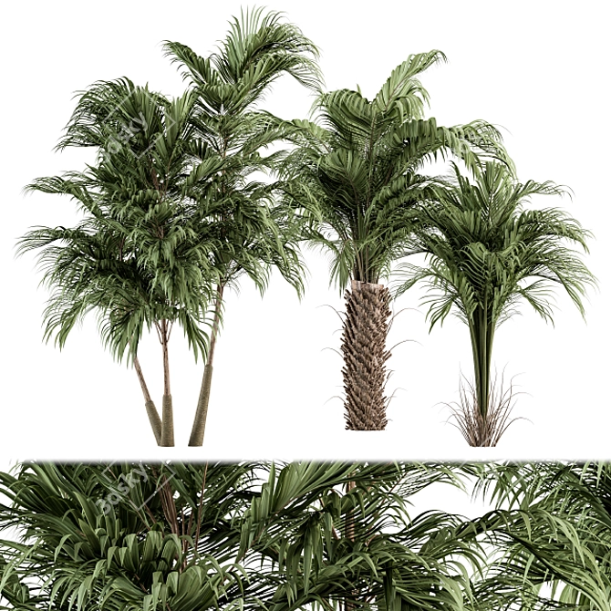 Tropical Bliss - Palm Tree Trio 3D model image 1