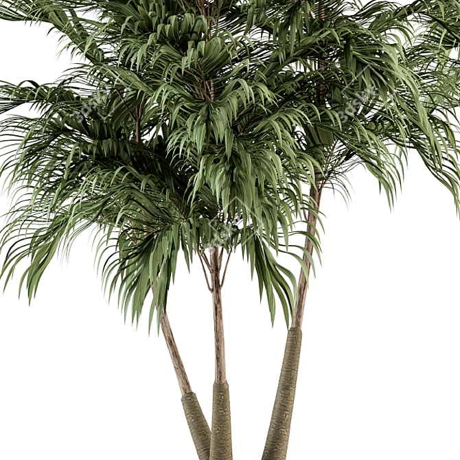 Tropical Bliss - Palm Tree Trio 3D model image 2