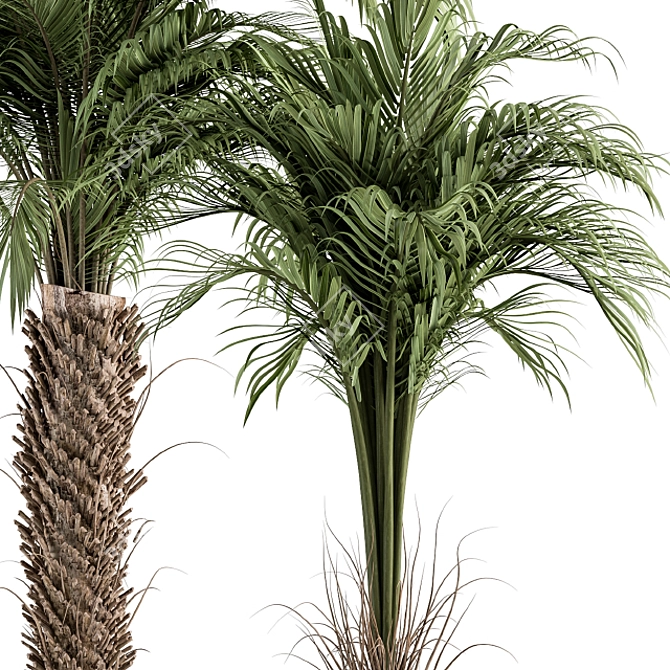 Tropical Bliss - Palm Tree Trio 3D model image 3