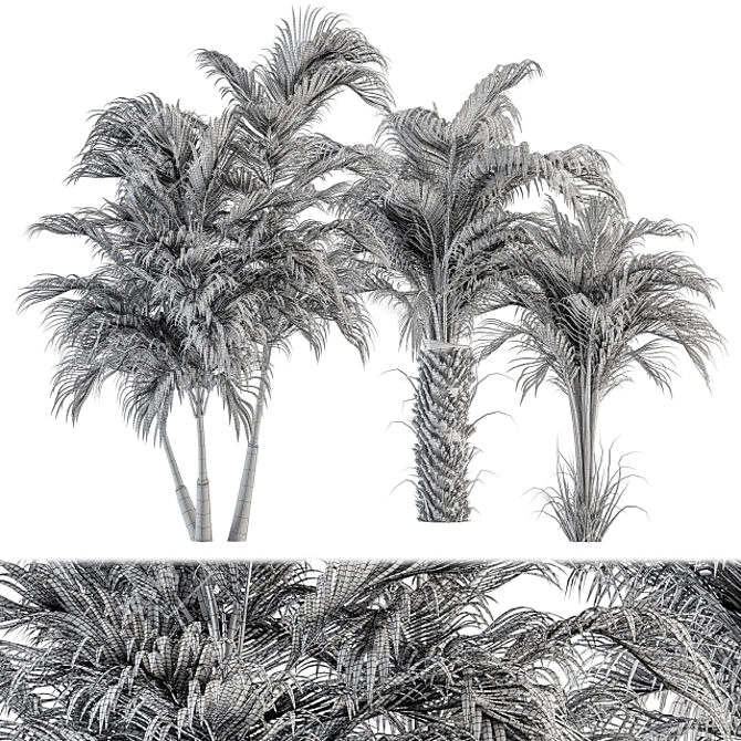 Tropical Bliss - Palm Tree Trio 3D model image 4