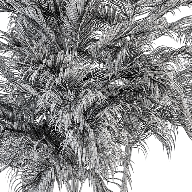 Tropical Bliss - Palm Tree Trio 3D model image 5