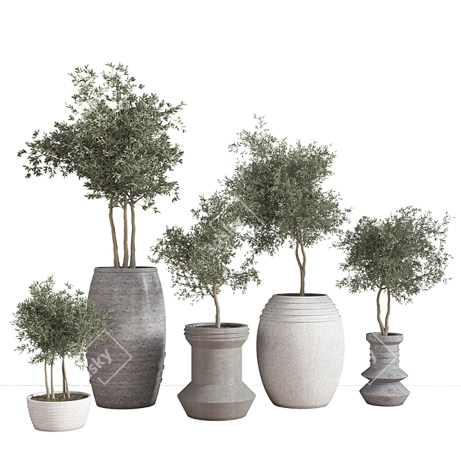 Elegant Indoor Plant Set 3D model image 1