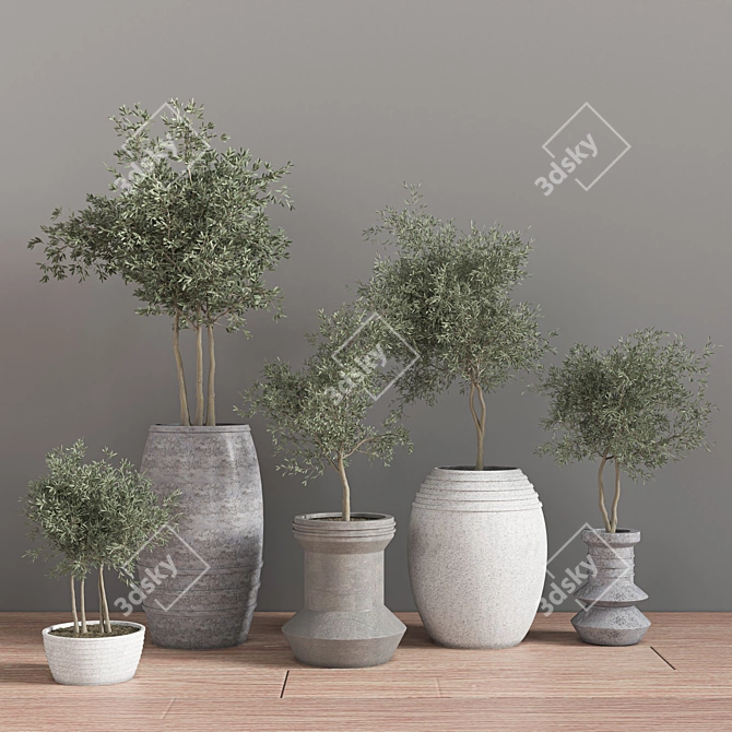 Elegant Indoor Plant Set 3D model image 2