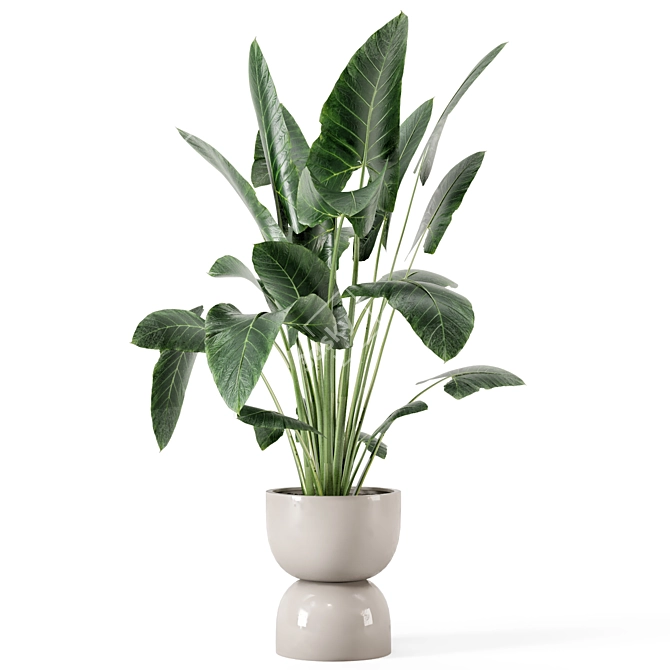 Rusty Concrete Pot Indoor Plants 3D model image 4