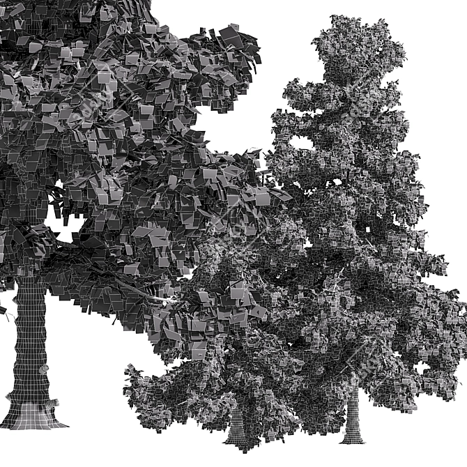 Alaska Cedar Trio: 3 Majestic Trees 3D model image 3