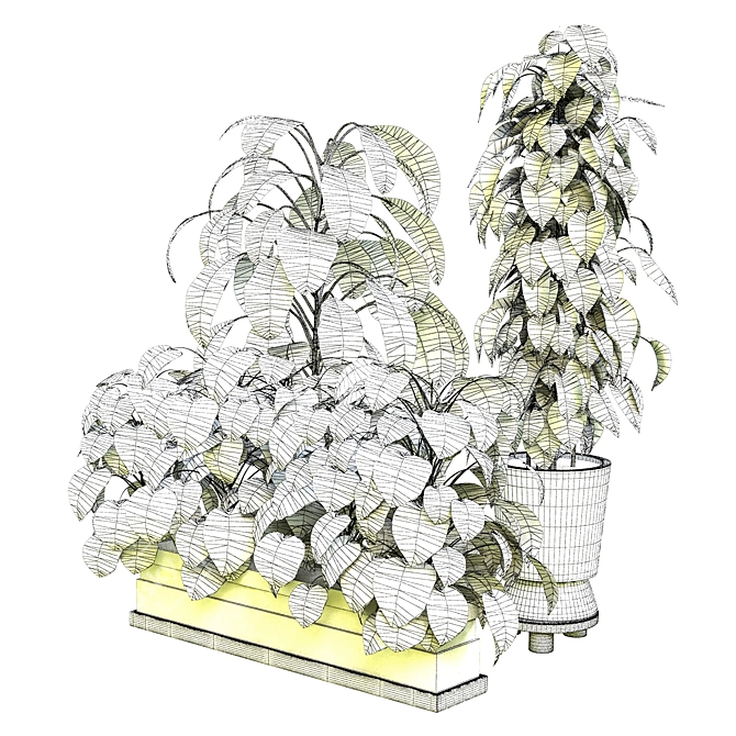 Tropical Plant Paradise: Indoor Vol. 13 3D model image 4