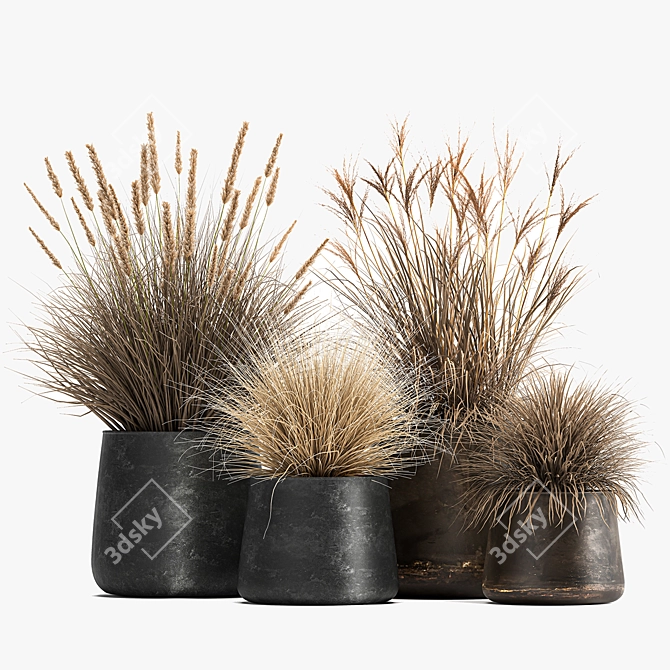 Reclaimed Iron Pot Plant Collection 3D model image 6