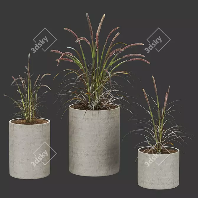 Premium Plant Collection 3D model image 1