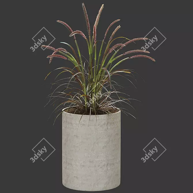 Premium Plant Collection 3D model image 2