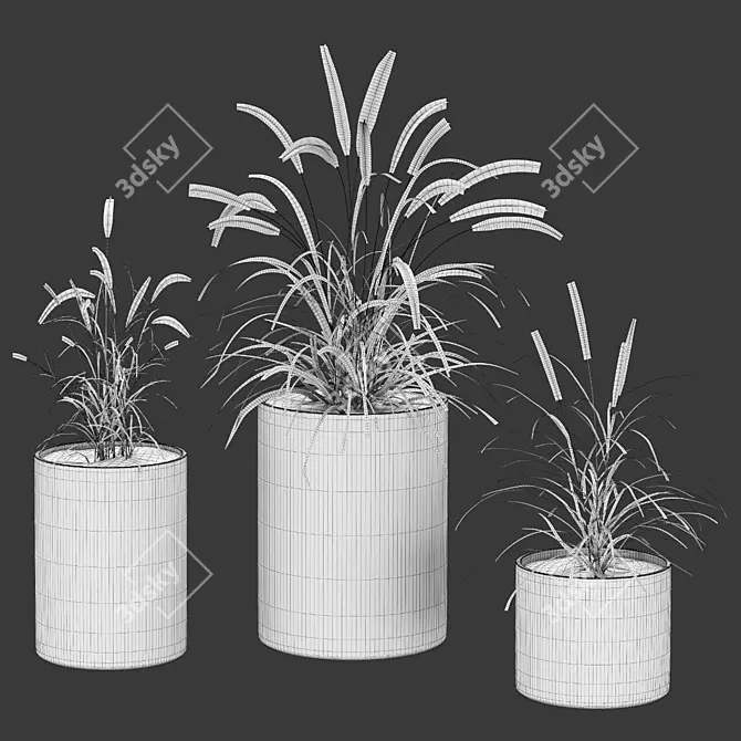 Premium Plant Collection 3D model image 3