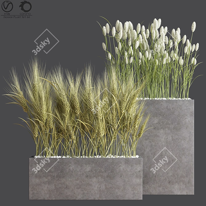 66-Piece Indoor Plant Set 3D model image 1