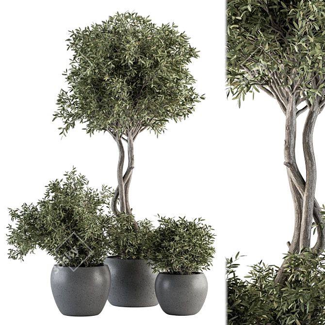 Nature's Oasis: 308-Piece Outdoor Plant Set 3D model image 1