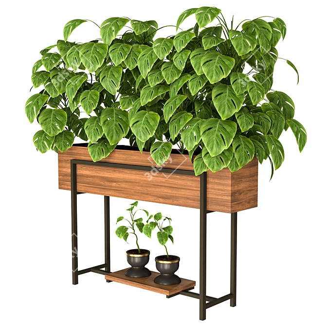 Modern Indoor Plant Collection 3D model image 1