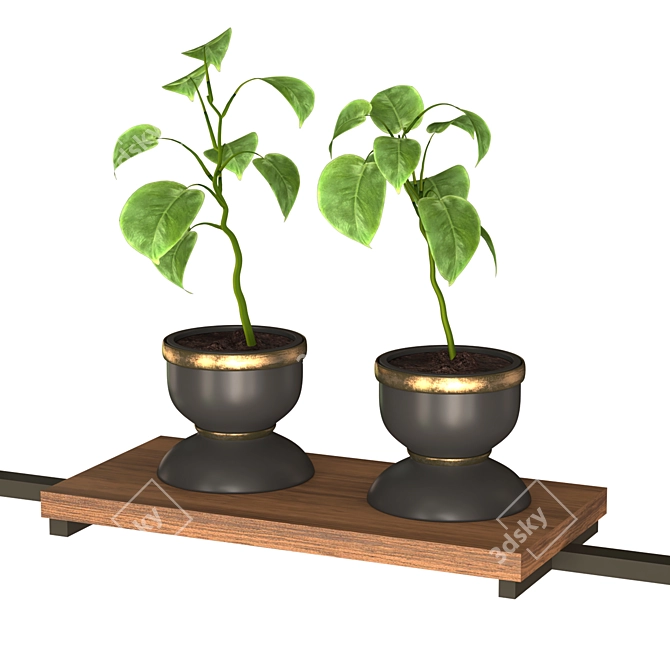 Modern Indoor Plant Collection 3D model image 3