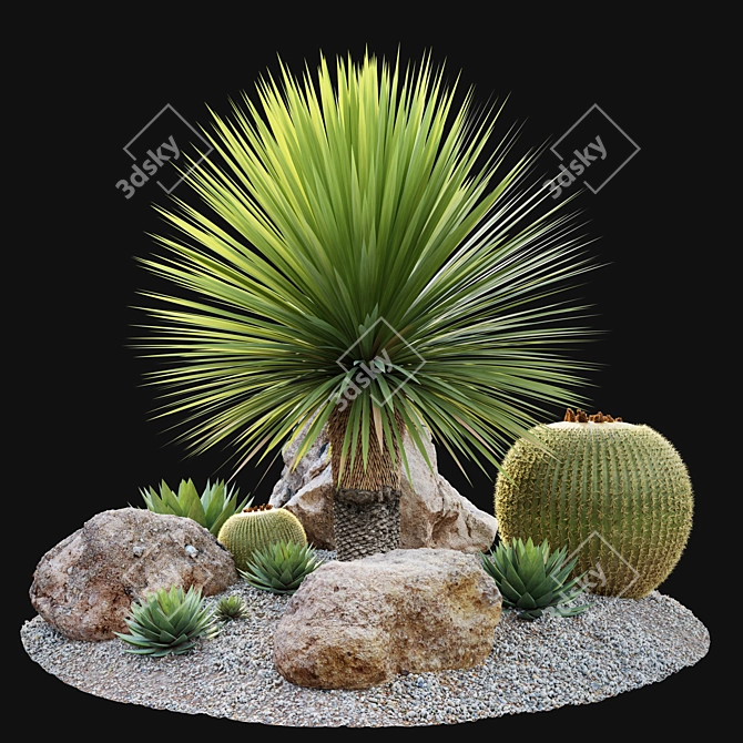 Australian Garden Set: Yucca, Cactus, Agave & Rocks 3D model image 1