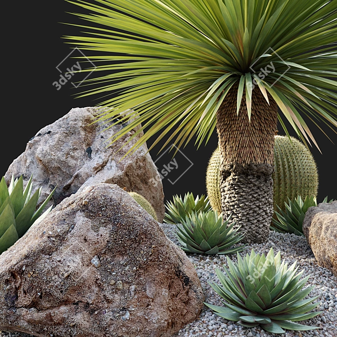 Australian Garden Set: Yucca, Cactus, Agave & Rocks 3D model image 2