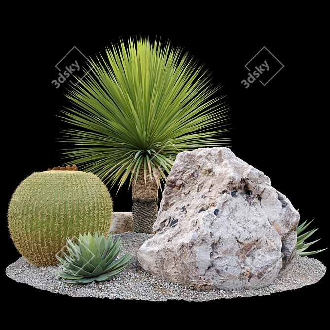 Australian Garden Set: Yucca, Cactus, Agave & Rocks 3D model image 3