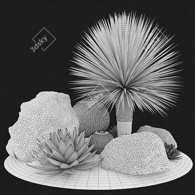 Australian Garden Set: Yucca, Cactus, Agave & Rocks 3D model image 4