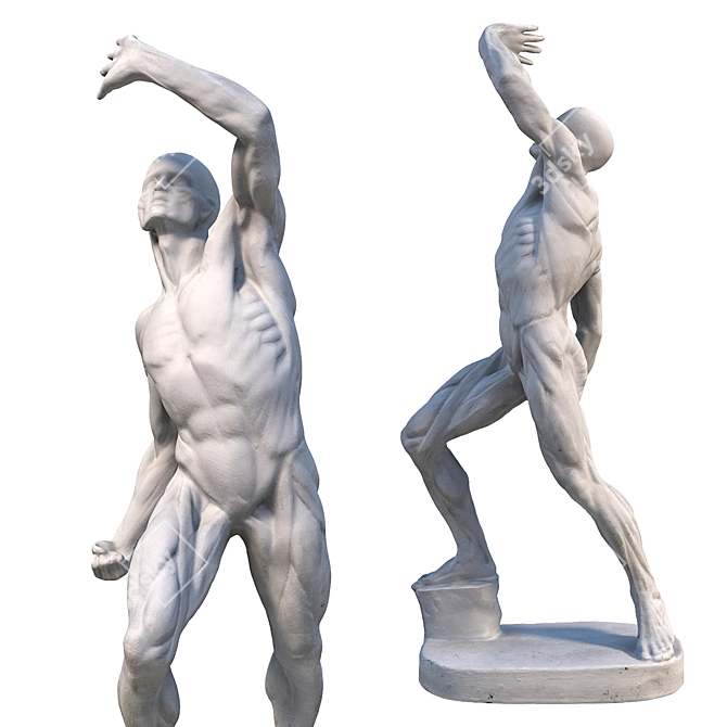 Ecorche Male Sculpture - 3D Model 3D model image 3