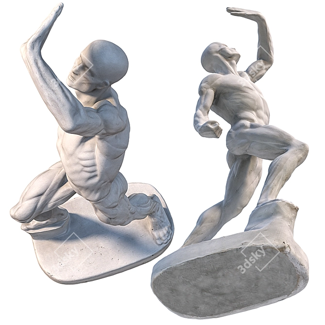 Ecorche Male Sculpture - 3D Model 3D model image 5