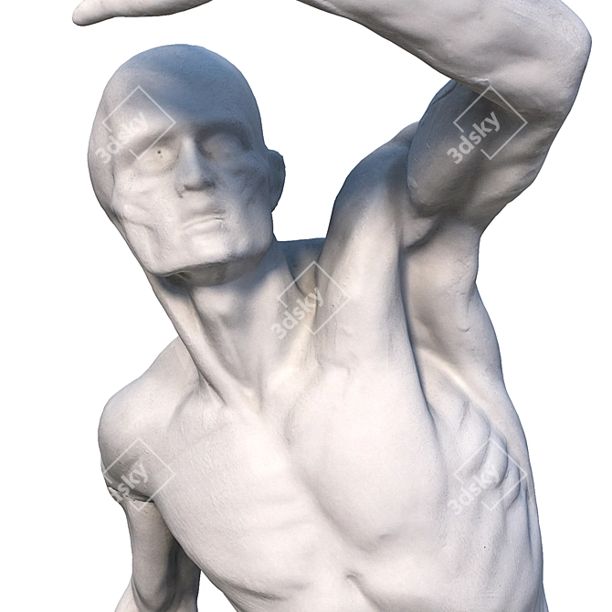 Ecorche Male Sculpture - 3D Model 3D model image 6