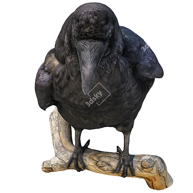 3D Crow Sculpture | 11,554 Polygons 3D model image 2