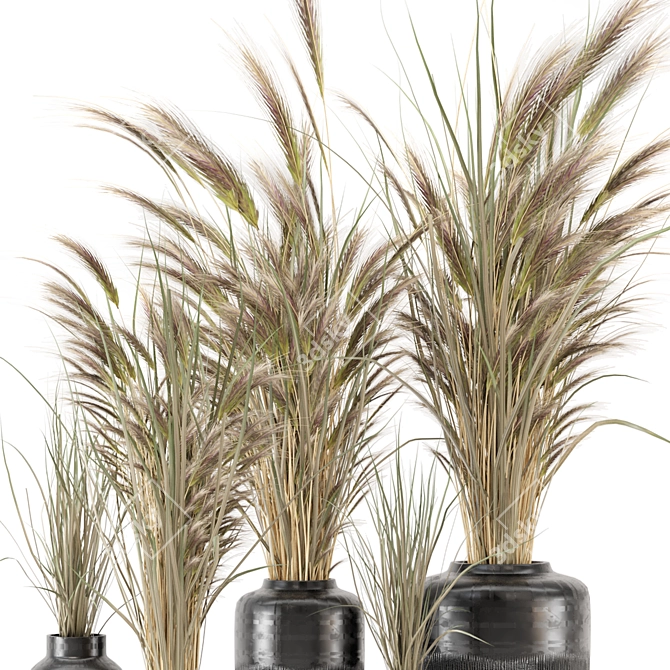 25-Piece Dried Plantset in Handmade Vase 3D model image 3