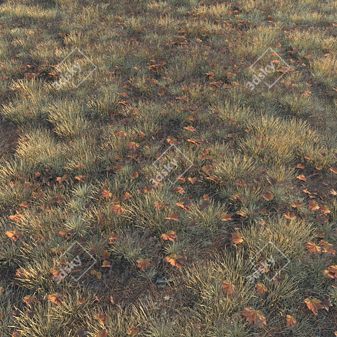 Autumn Grass Collection: 6 Types 3D model image 1