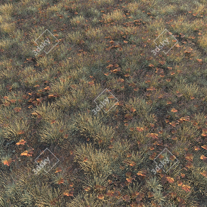 Autumn Grass Collection: 6 Types 3D model image 3