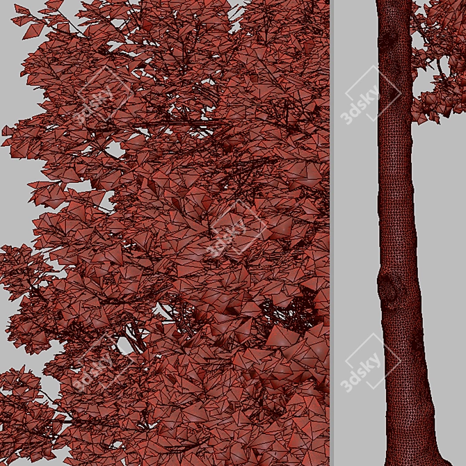 American Sweet Gum Tree Set (2 Trees) 3D model image 7