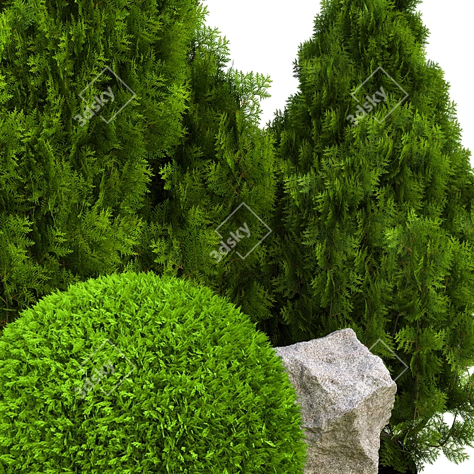 2015 Outdoor Plant Vol. 18 3D model image 2