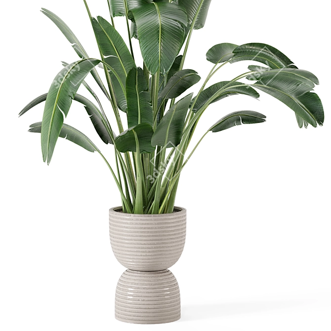 Rustic Concrete Pot Set with Indoor Plants 3D model image 3