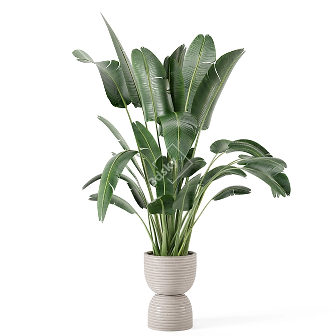 Rustic Concrete Pot Set with Indoor Plants 3D model image 5