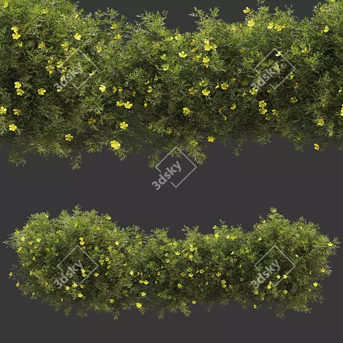 Premium Bush Plant 3D model image 1